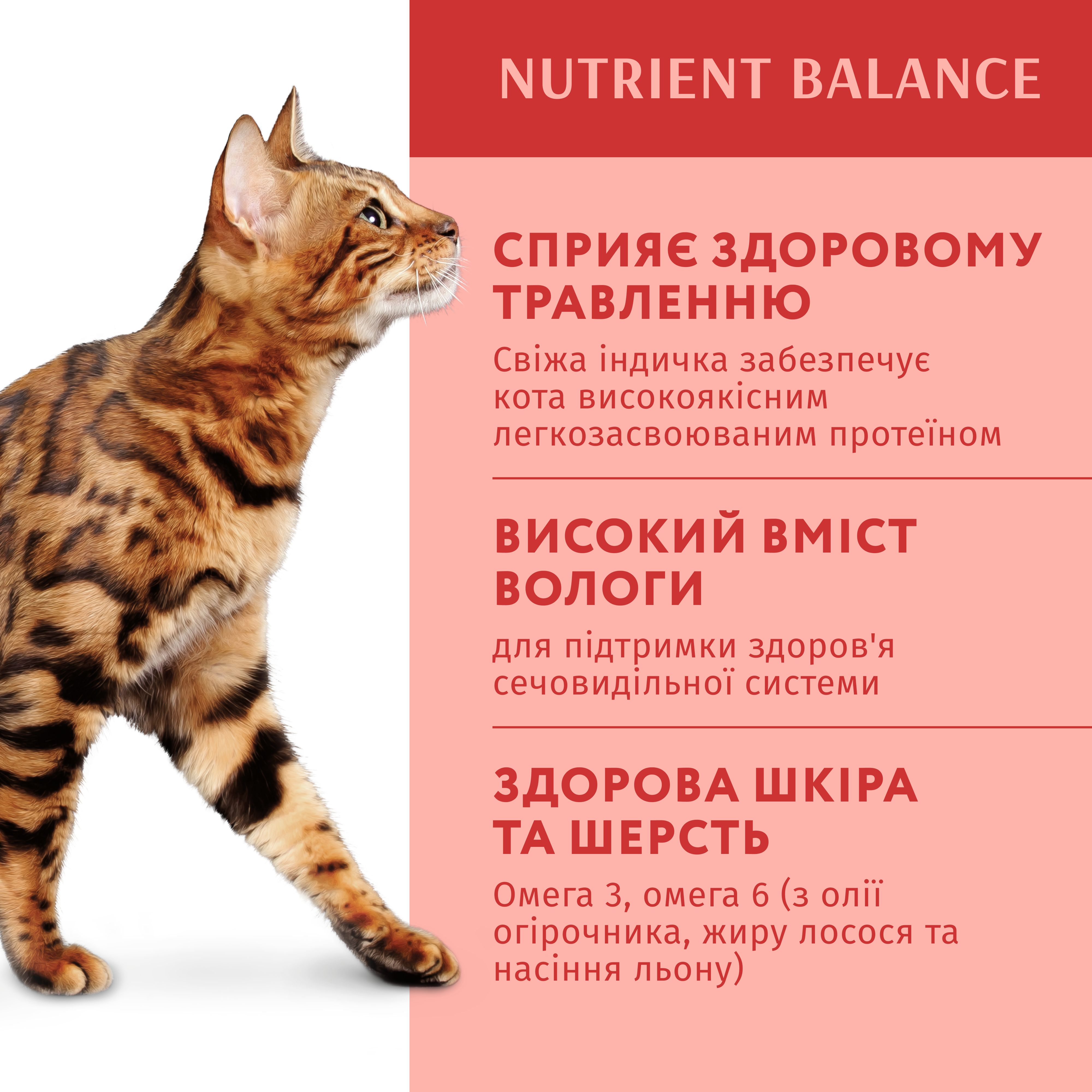 Вологий корм Optimeal для дорослих кішок з індичкою в гарбузовому соусі 85г (b2711902)фото3