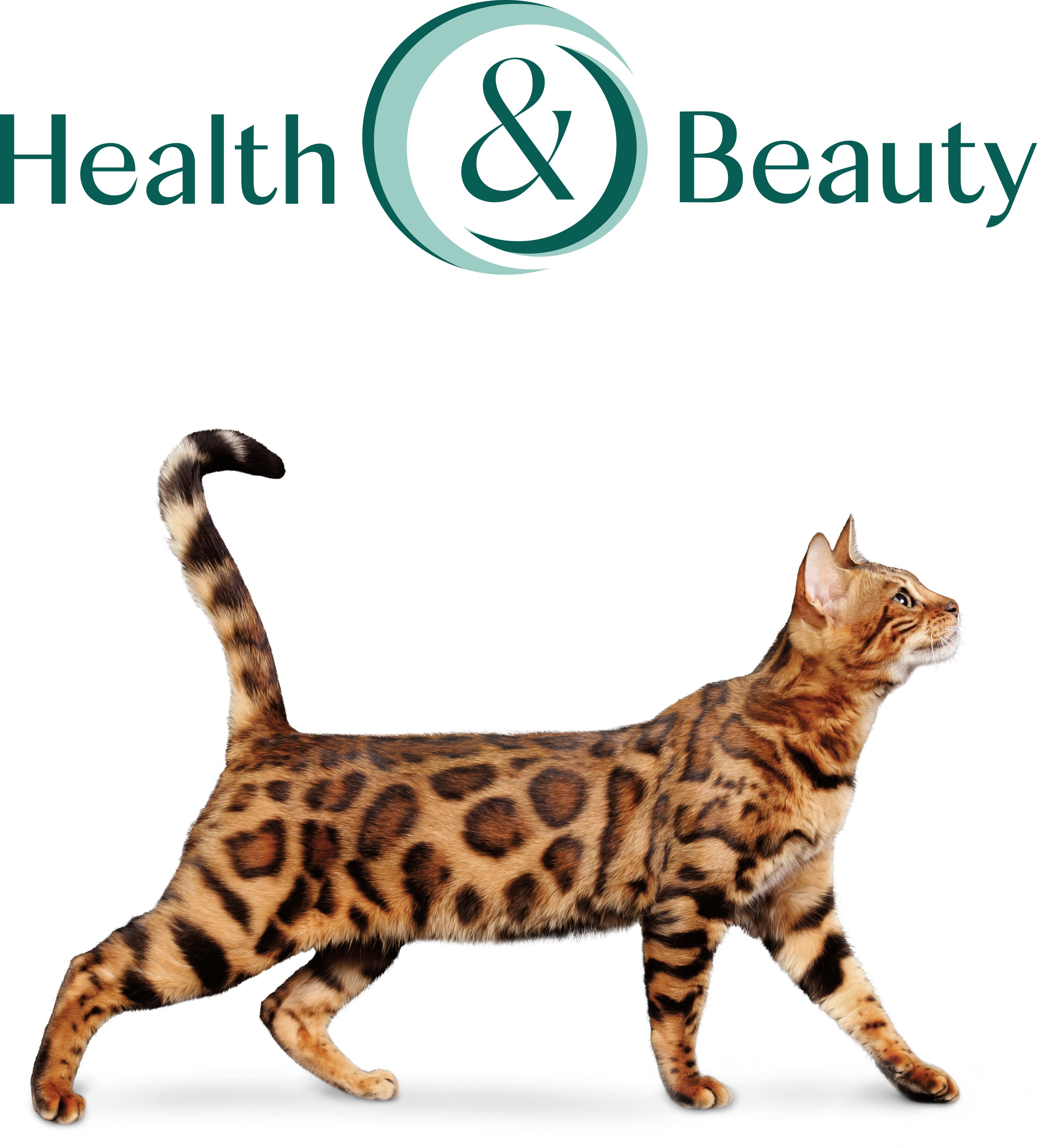Вологий корм Optimeal для дорослих кішок з індичкою в гарбузовому соусі 85г (b2711902)фото9