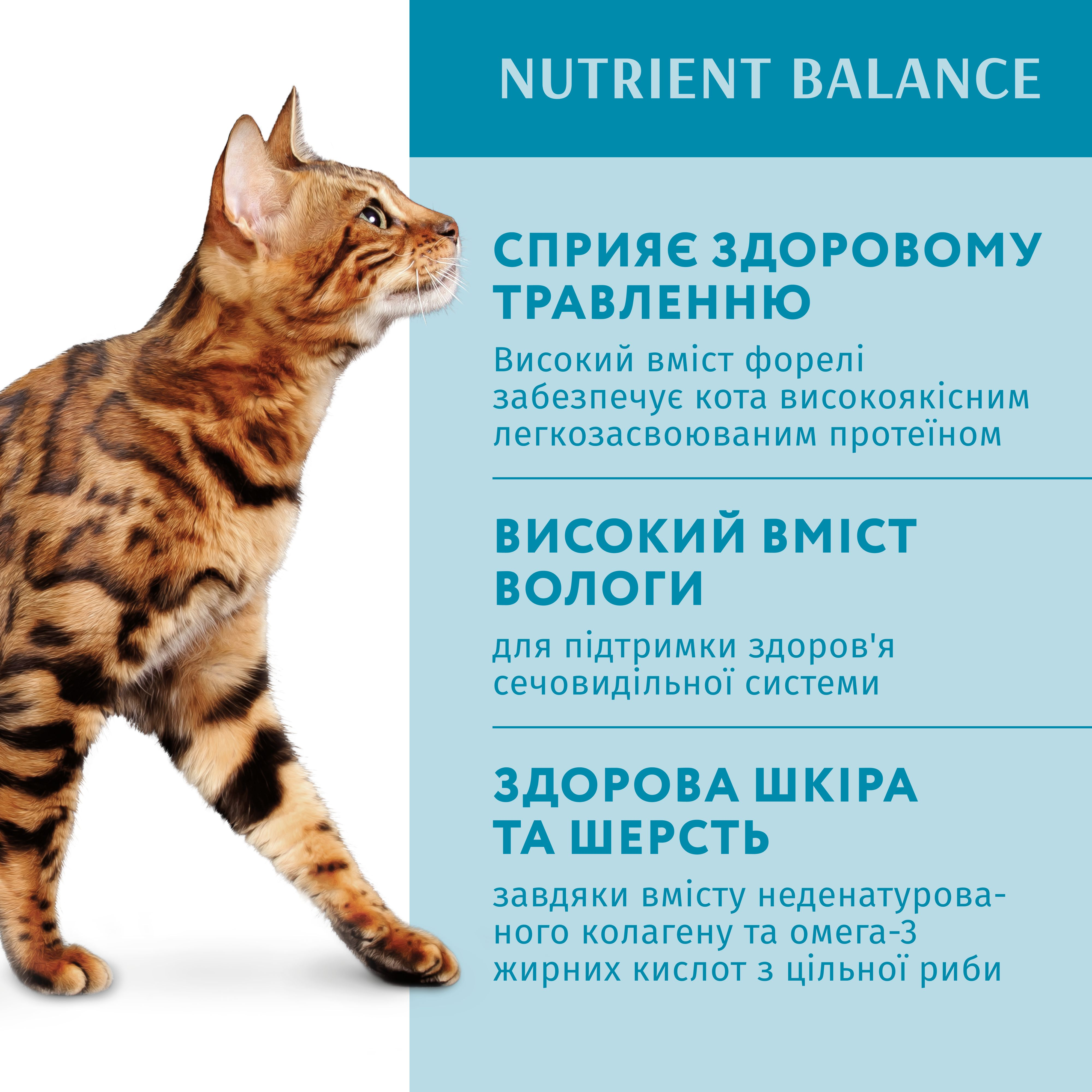 Влажный корм Optimeal для взрослых кошек с форелью в кремовом соусе 85г (B2711802) фото 3