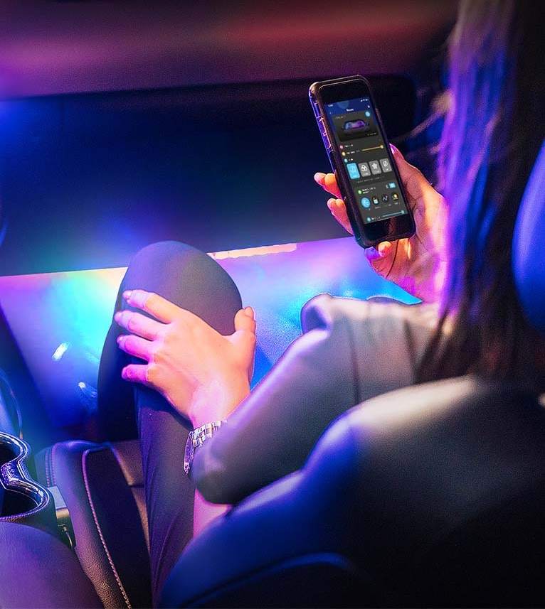 Набір розумного підсвічування для автомобіля Govee H7090 Interior Car Lights, RGBIC, Bluetooth, Black (H70900D2)фото