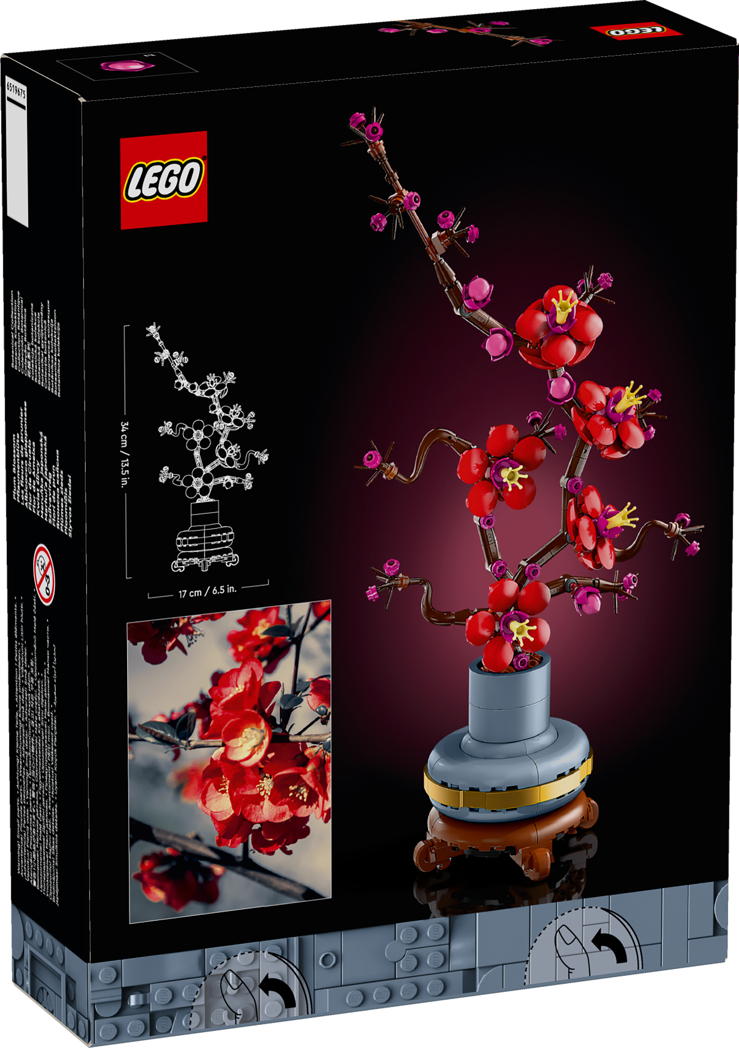 Консируктор LEGO 10369 Сливове цвітінняфото5