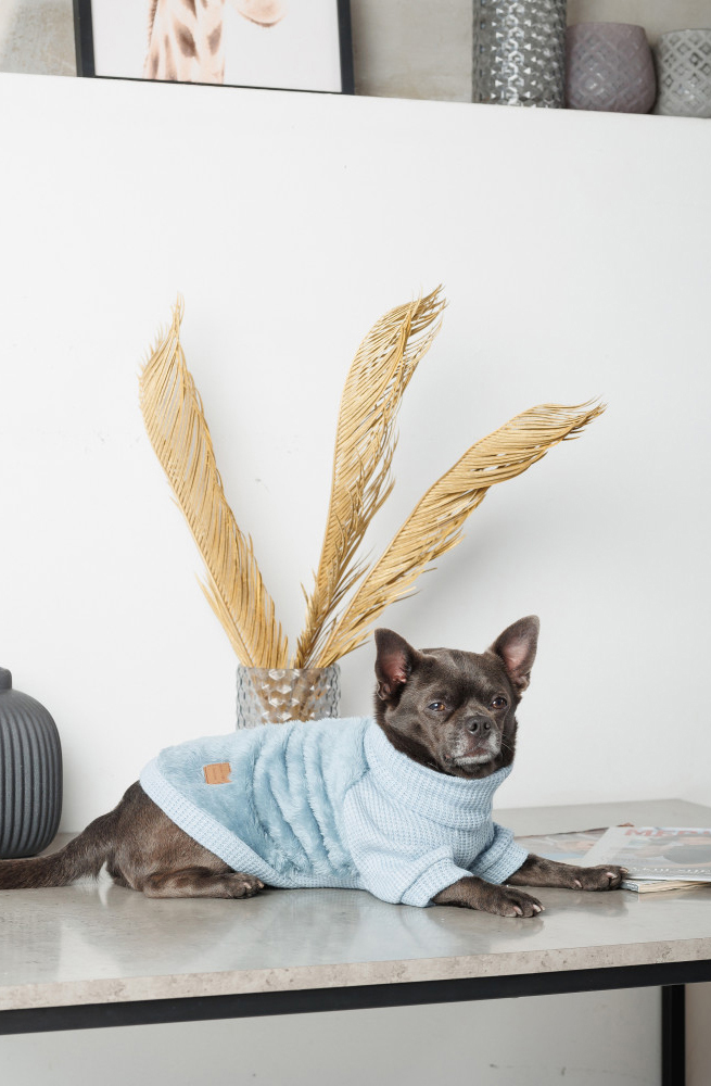 Светр для собак Pet Fashion Fur розмір S блакитнийфото