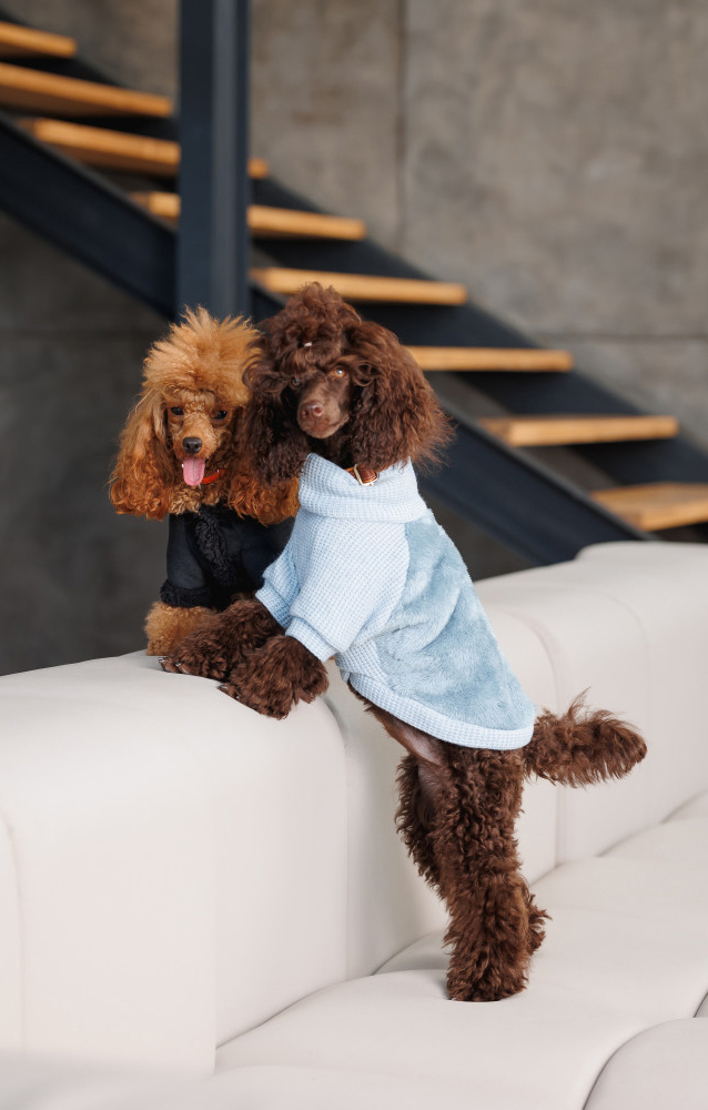 Светр для собак Pet Fashion Fur розмір ХS блакитнийфото