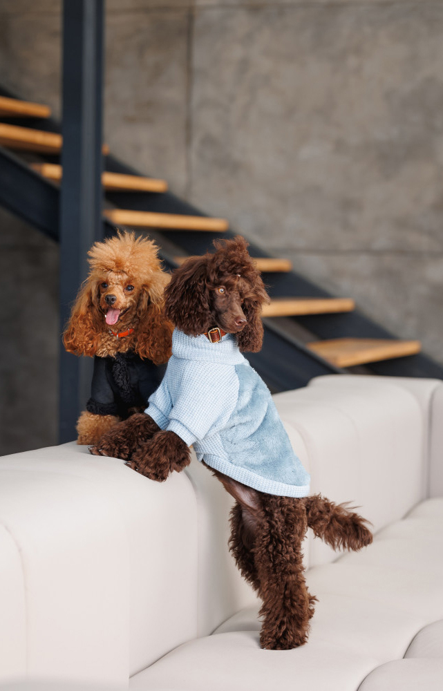 Светр для собак Pet Fashion Fur розмір ХS блакитнийфото