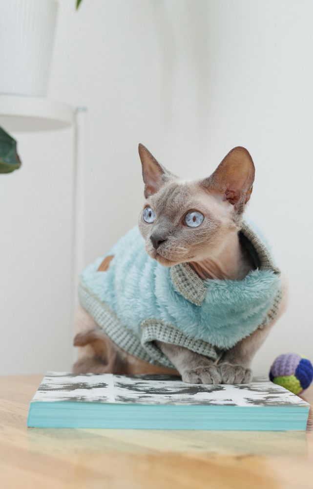 Свитер для кота Pet Fashion Tim размер L мятный фото 5