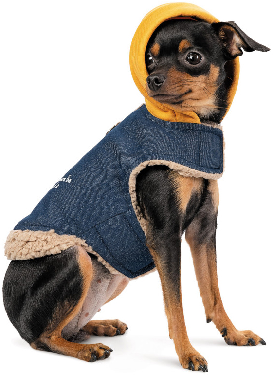 Шлея-жилет для собак Pet Fashion Poppy розмір XS2 синійфото