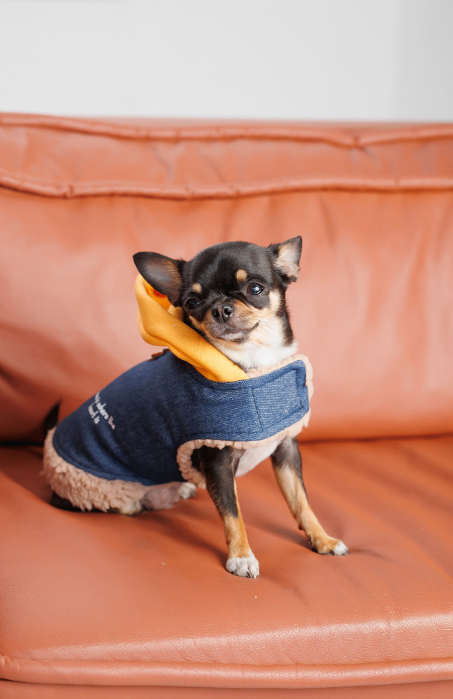 Шлея-жилет для собак Pet Fashion Poppy розмір XS2 синійфото