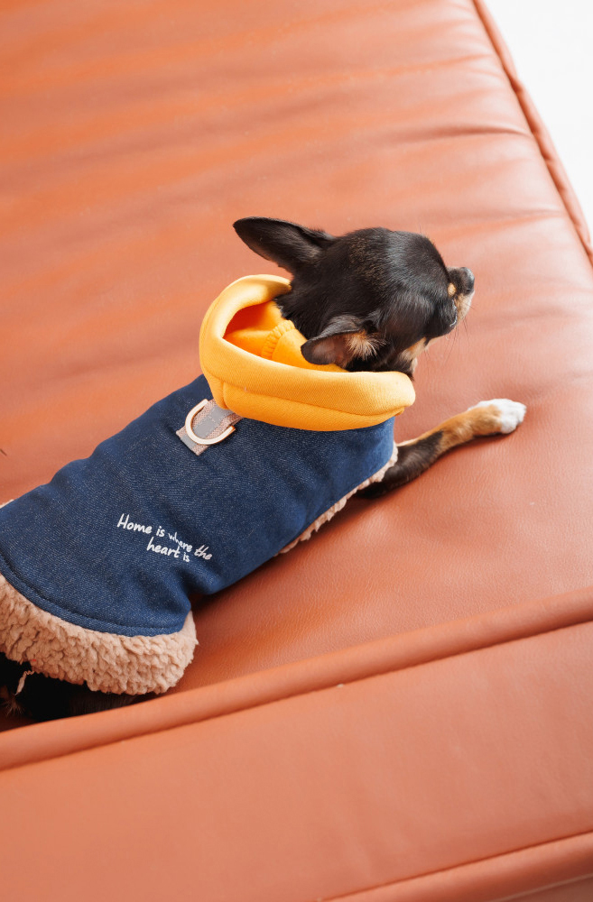 Шлея-жилет для собак Pet Fashion Poppy розмір XS2 синійфото