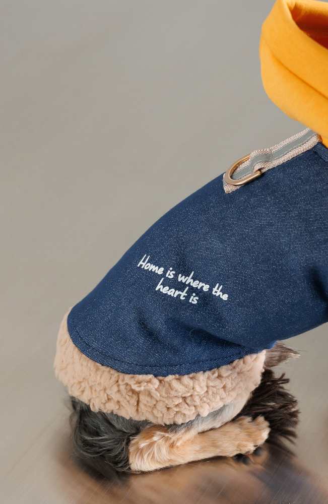 Шлея-жилет для собак Pet Fashion Poppy розмір XS синійфото