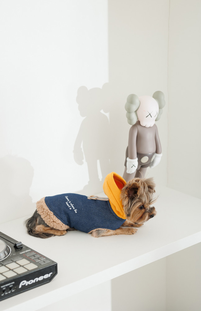 Шлея-жилет для собак Pet Fashion Poppy розмір XS синійфото