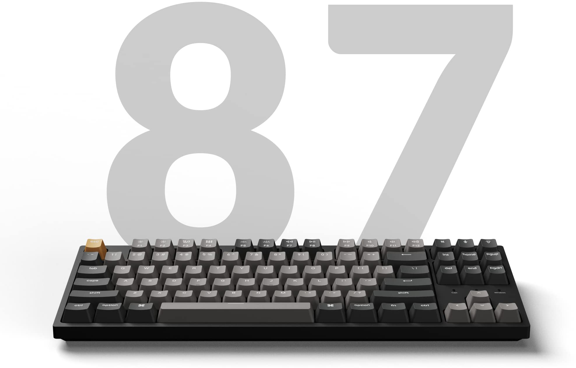 Клавіатура Keychron C1 Pro 87 Key QMK/VIA K pro Brown EN/UKR White Led Black (C1PK3_KEYCHRON)фото6