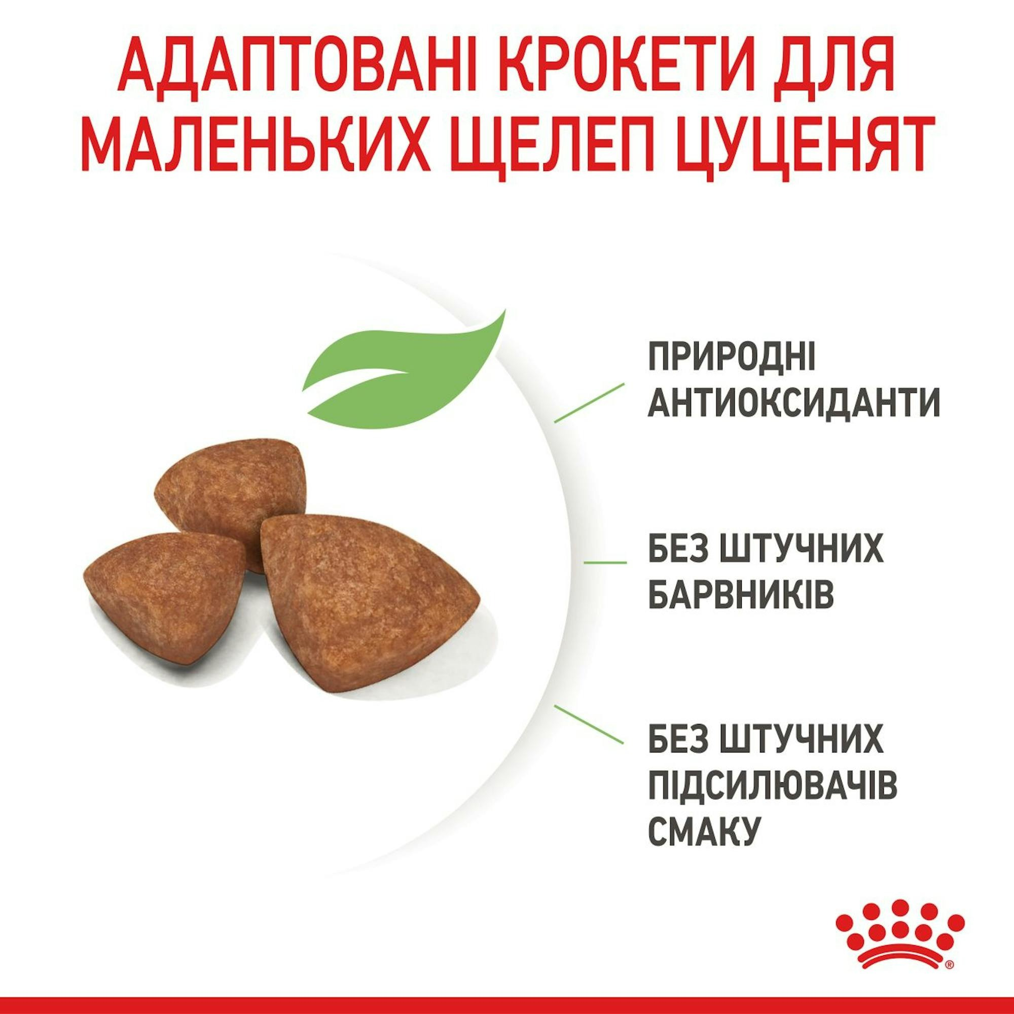 Сухой корм для щенков Royal Canin X-Small Puppy миниатюрных пород собак 500г фото 5