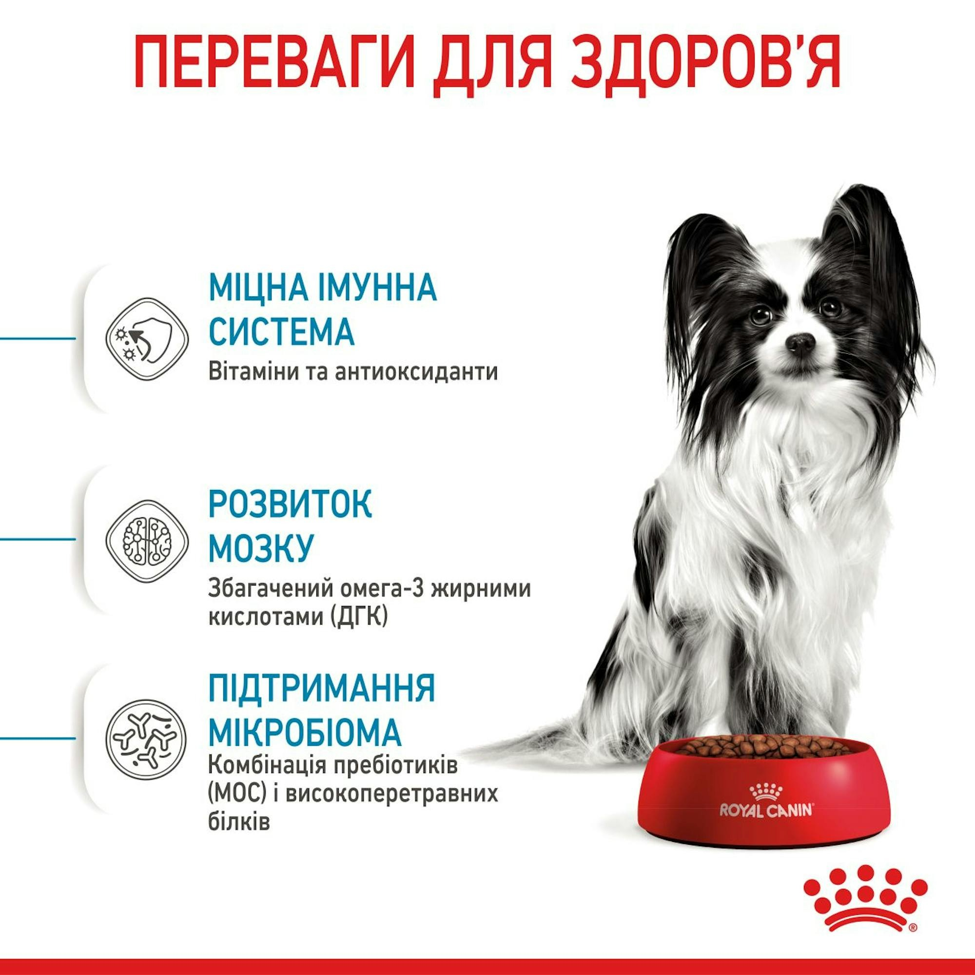 Сухой корм для щенков Royal Canin X-Small Puppy миниатюрных пород собак 500г фото 4