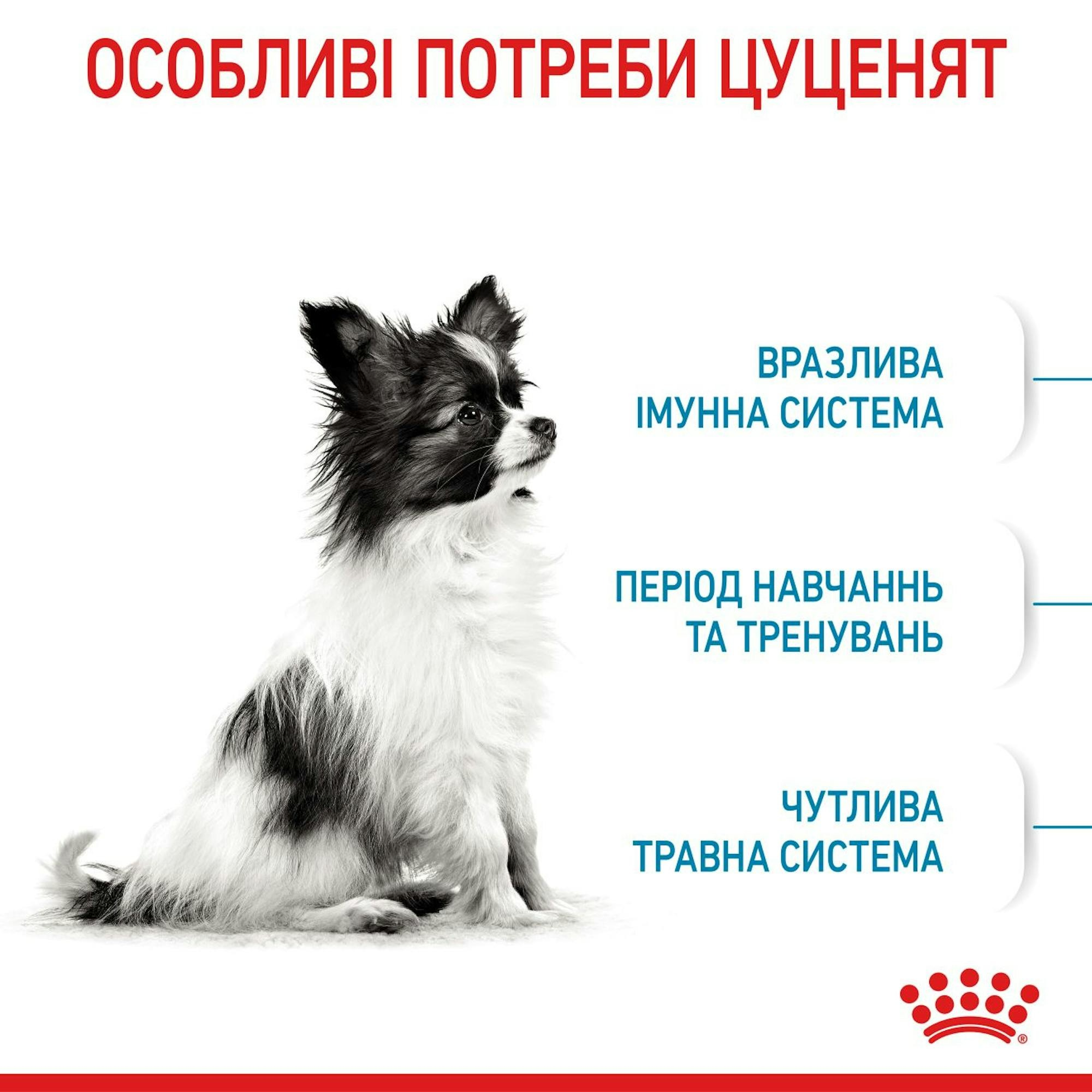 Сухой корм для щенков Royal Canin X-Small Puppy миниатюрных пород собак 500г фото 3