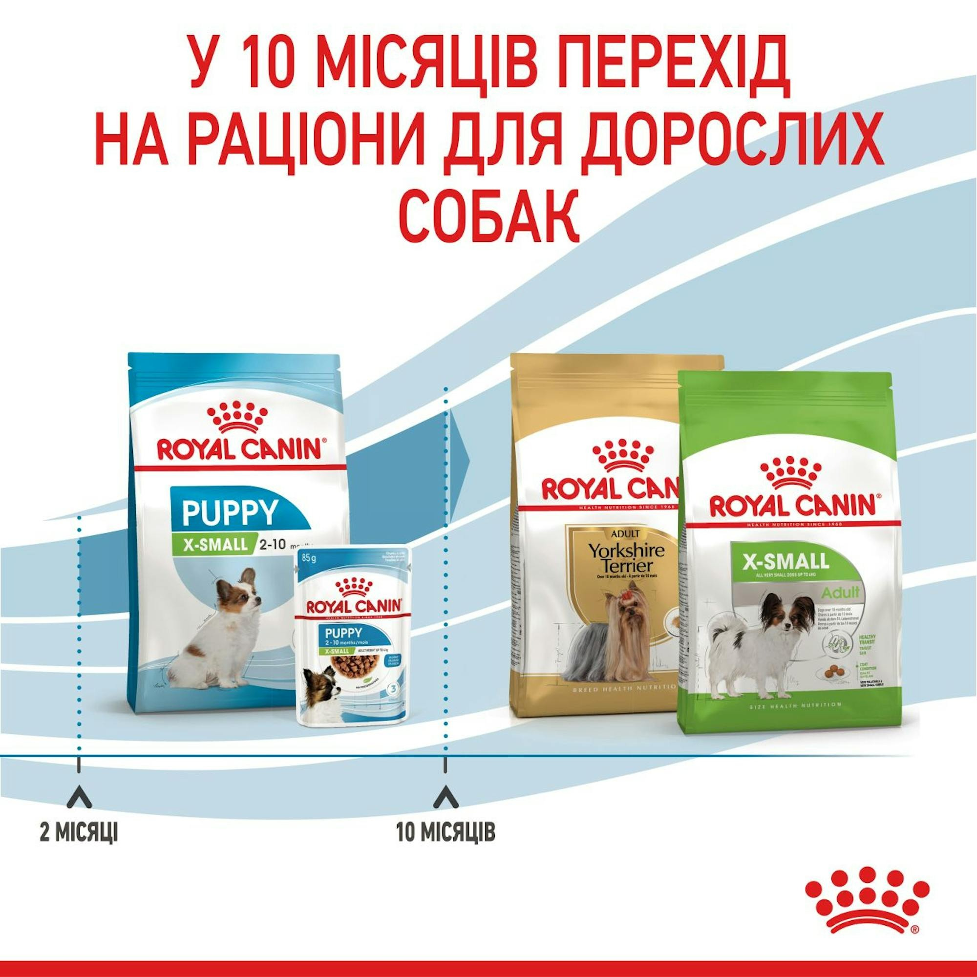 Сухий корм для цуценят Royal Canin X-Small Puppy мініатюрних порід собак 500гфото6