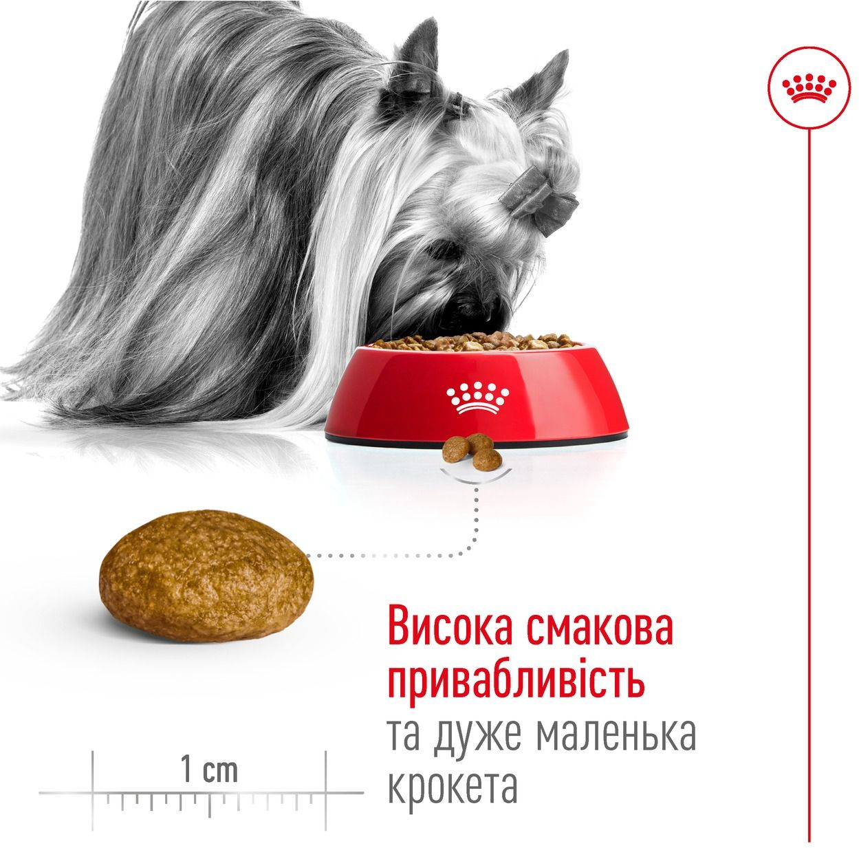 Сухий корм для собак Royal Canin X-Small Adult мініатюрних порід 500гфото3