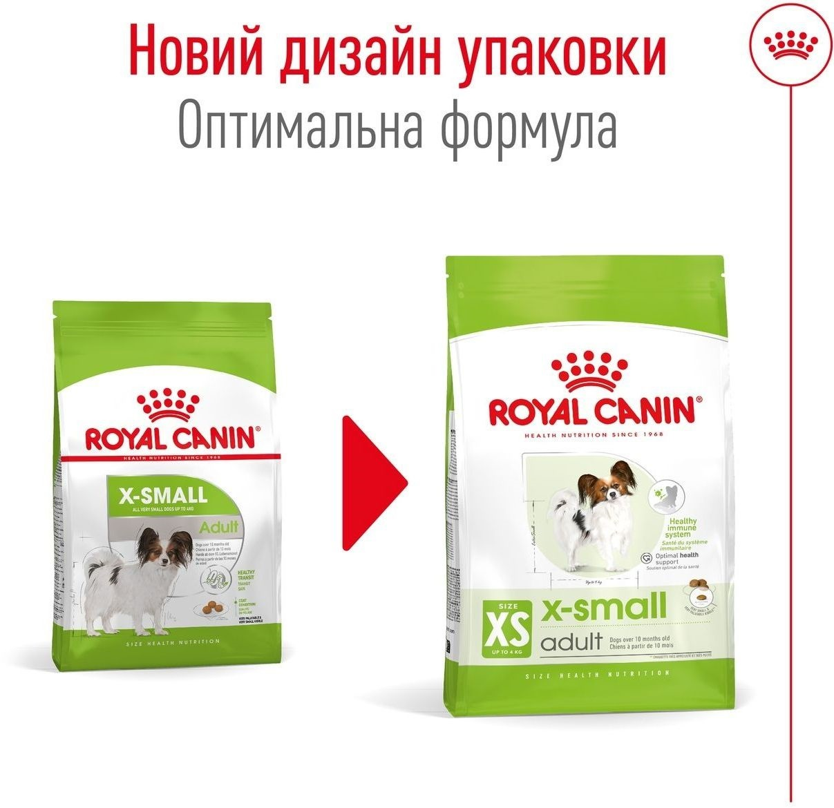 Сухий корм для собак Royal Canin X-Small Adult мініатюрних порід 500гфото6