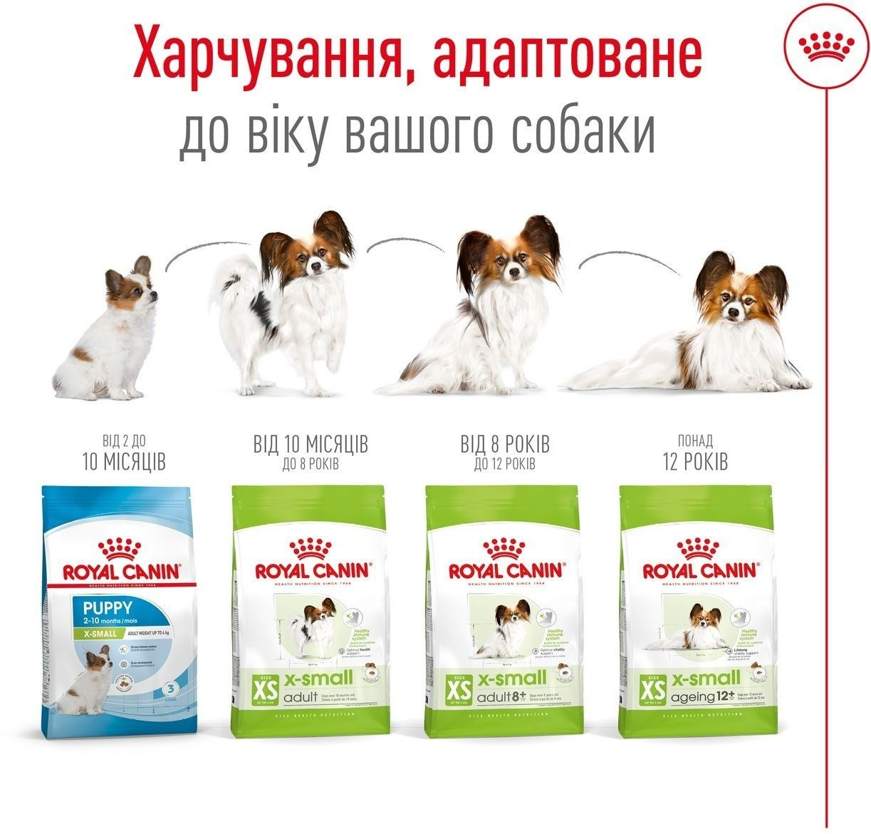 Сухий корм для собак Royal Canin X-Small Adult мініатюрних порід 500гфото7