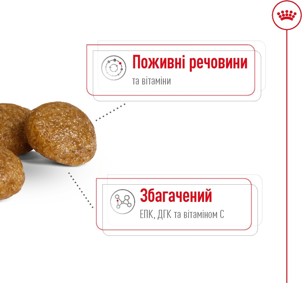 Сухой корм для собак Royal Canin X-Small Adult 8+ миниатюрных пород старше 8 лет 3кг фото 3