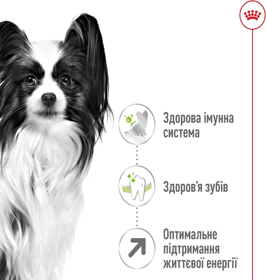 Сухий корм для собак Royal Canin X-Small Adult 8+ мініатюрних порід старше 8 років 3кгфото2