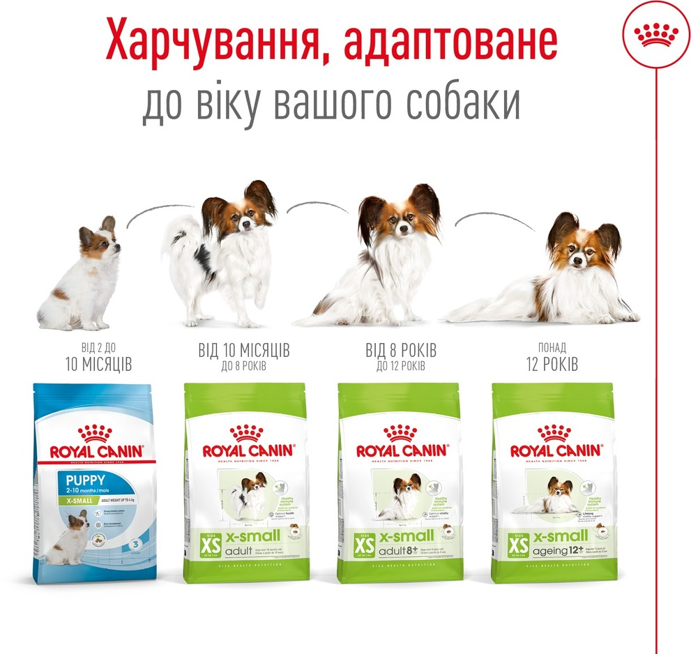 Сухой корм для собак Royal Canin X-Small Adult 8+ миниатюрных пород старше 8 лет 3кг фото 5