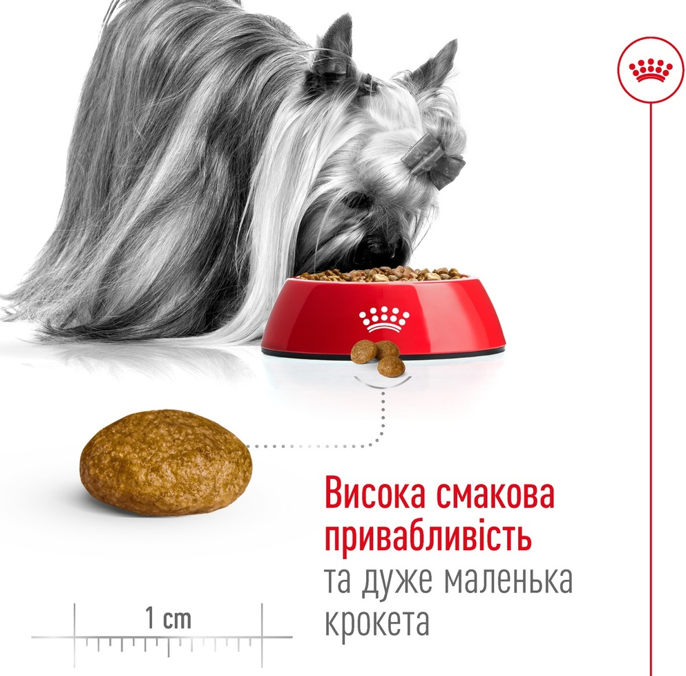 Сухий корм для собак Royal Canin X-Small Adult 8+ мініатюрних порід старше 8 років 3кгфото4