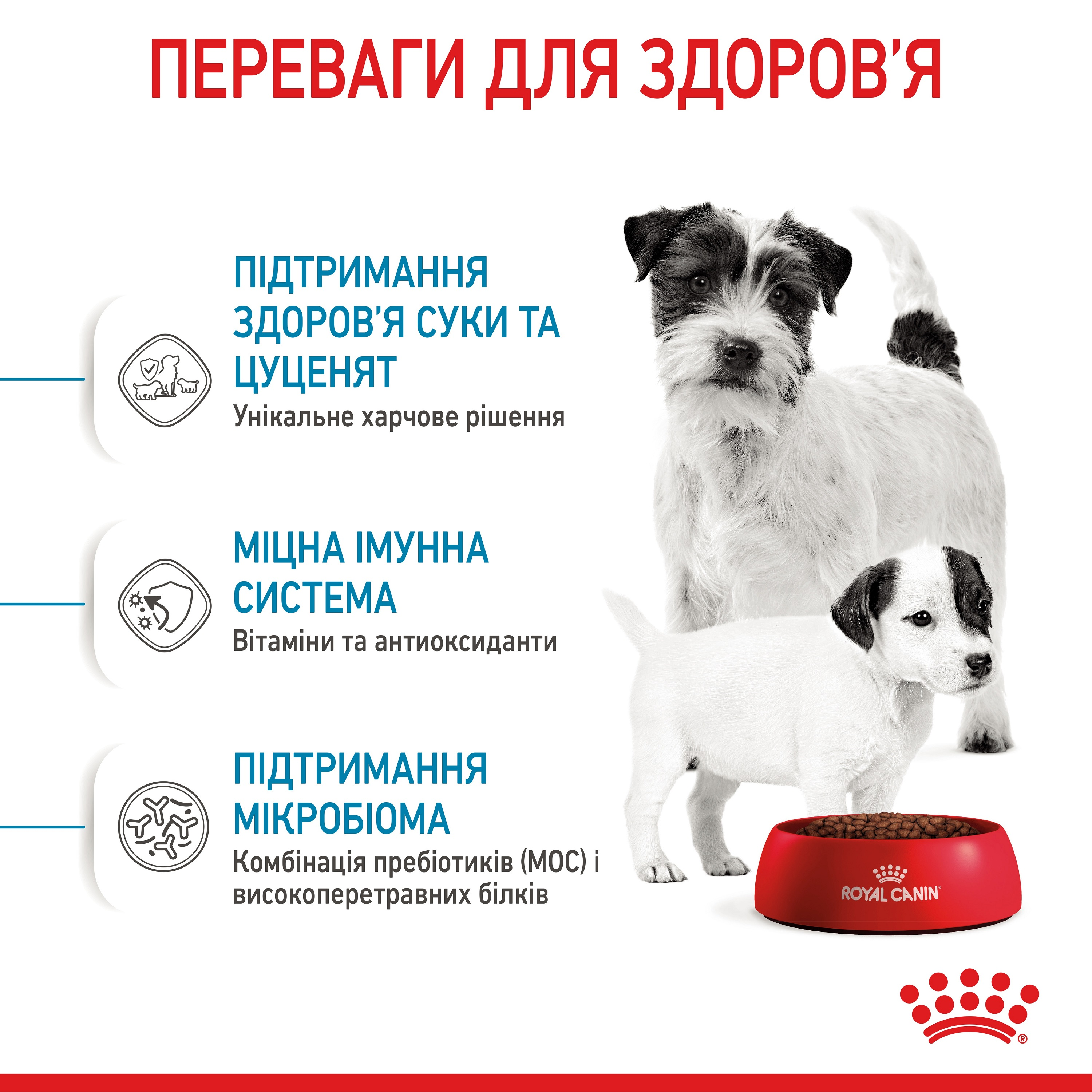 Сухой корм для собак Royal Canin Mini Starter Mother & BabyDog мелких пород в период беременности и лактации 1кг фото 4