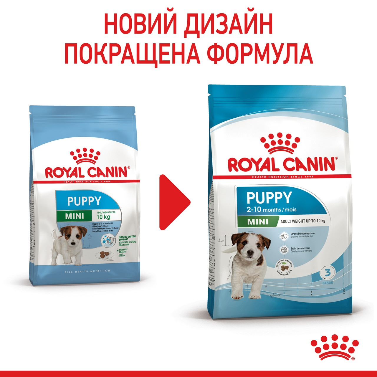 Сухий корм для цуценят Royal Canin Puppy Mini дрібних порід собак 800гфото2