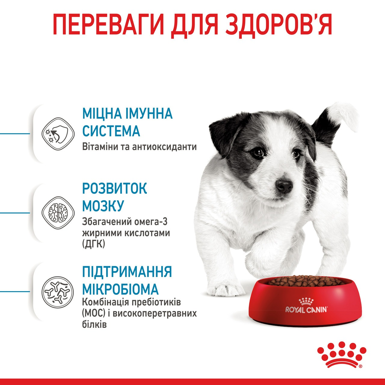 Сухий корм для цуценят Royal Canin Puppy Mini дрібних порід собак 800гфото5