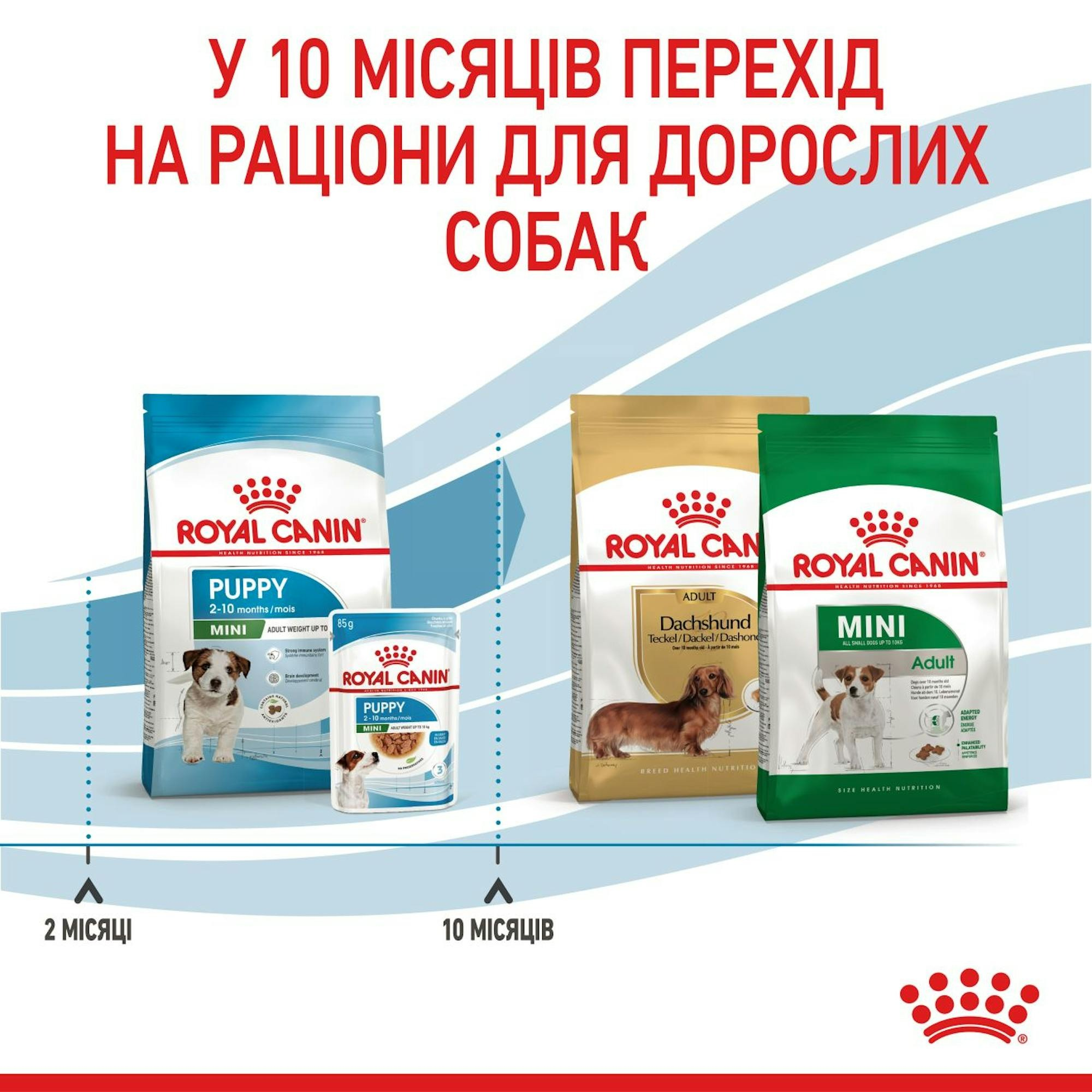 Сухий корм для цуценят Royal Canin Puppy Mini дрібних порід собак 800гфото7