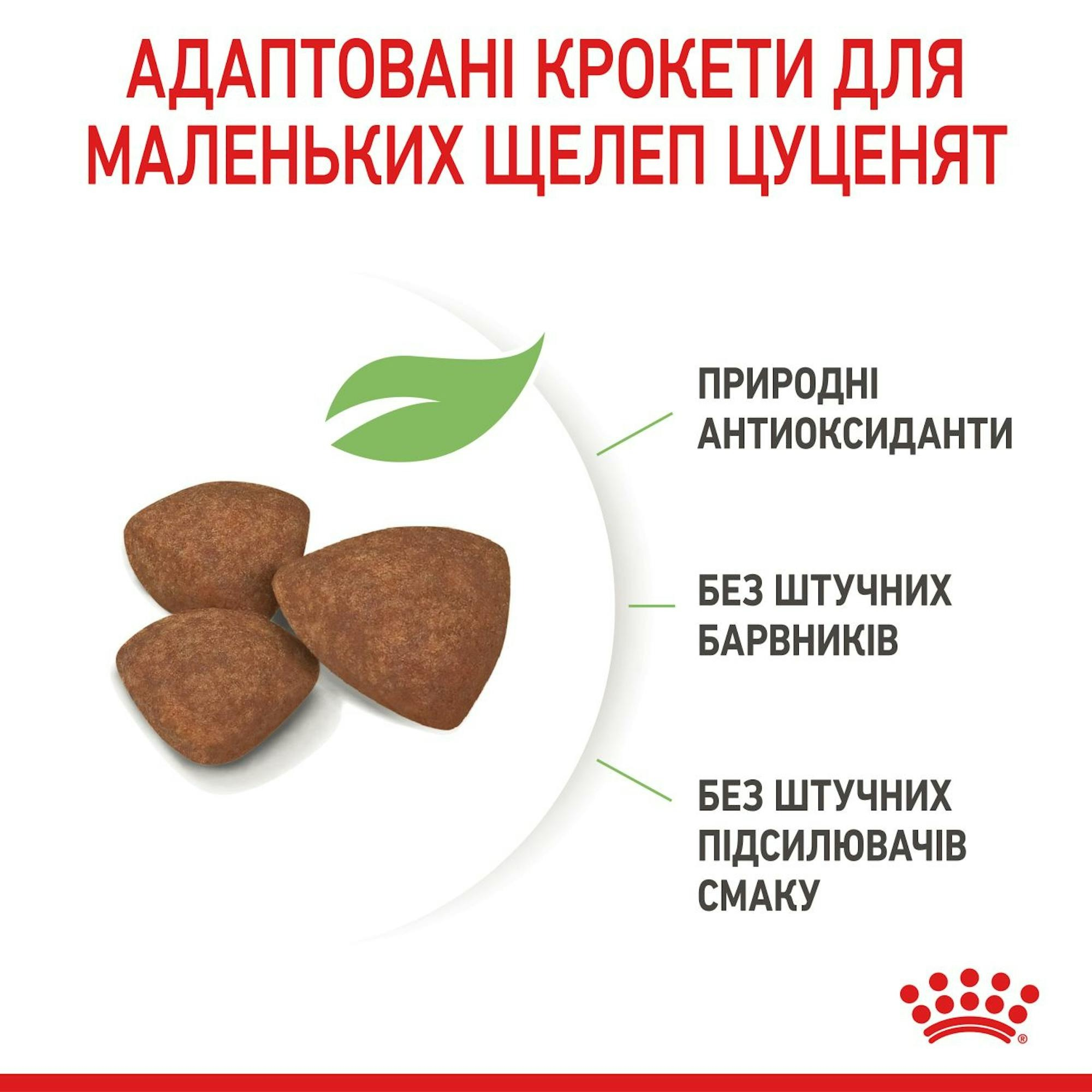 Сухий корм для цуценят Royal Canin Puppy Mini дрібних порід собак 800гфото6