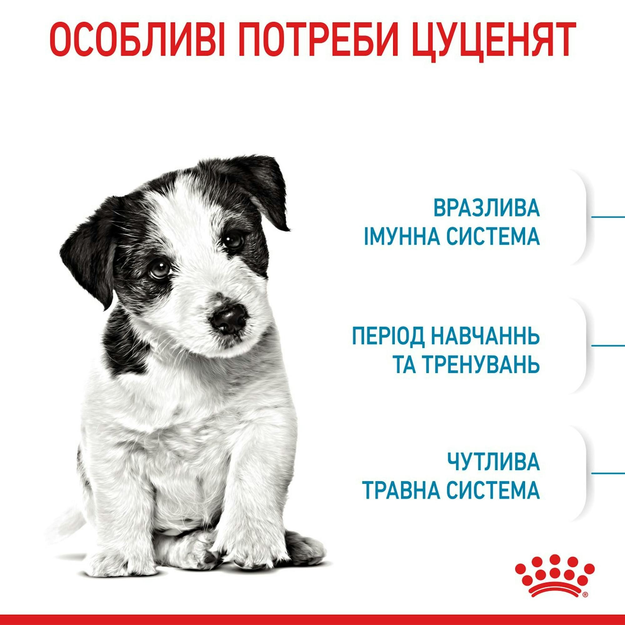 Сухой корм для щенков Royal Canin Puppy Mini мелких пород собак 800г фото 4