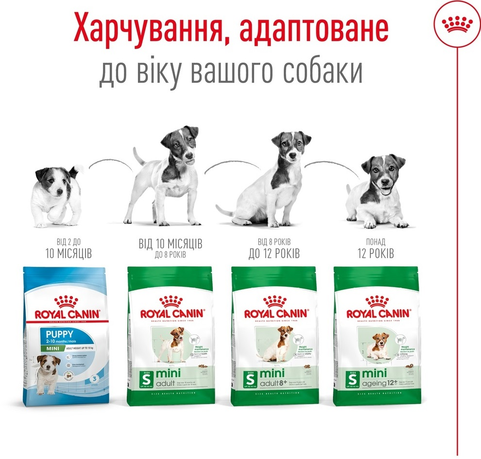 Сухий корм для собак Royal Canin Mini Adult дрібних порід 800гфото5