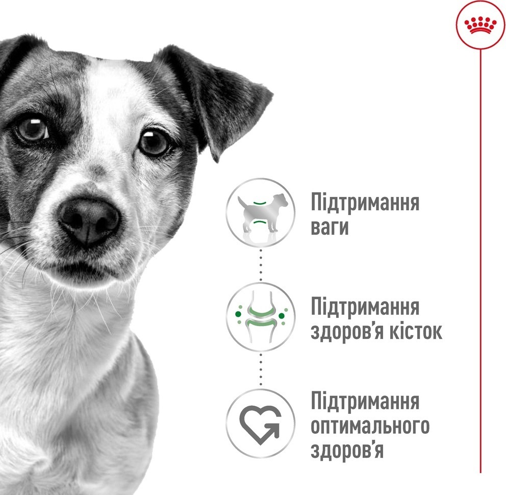 Сухой корм для собак Royal Canin Mini Adult мелких пород 800г фото 2