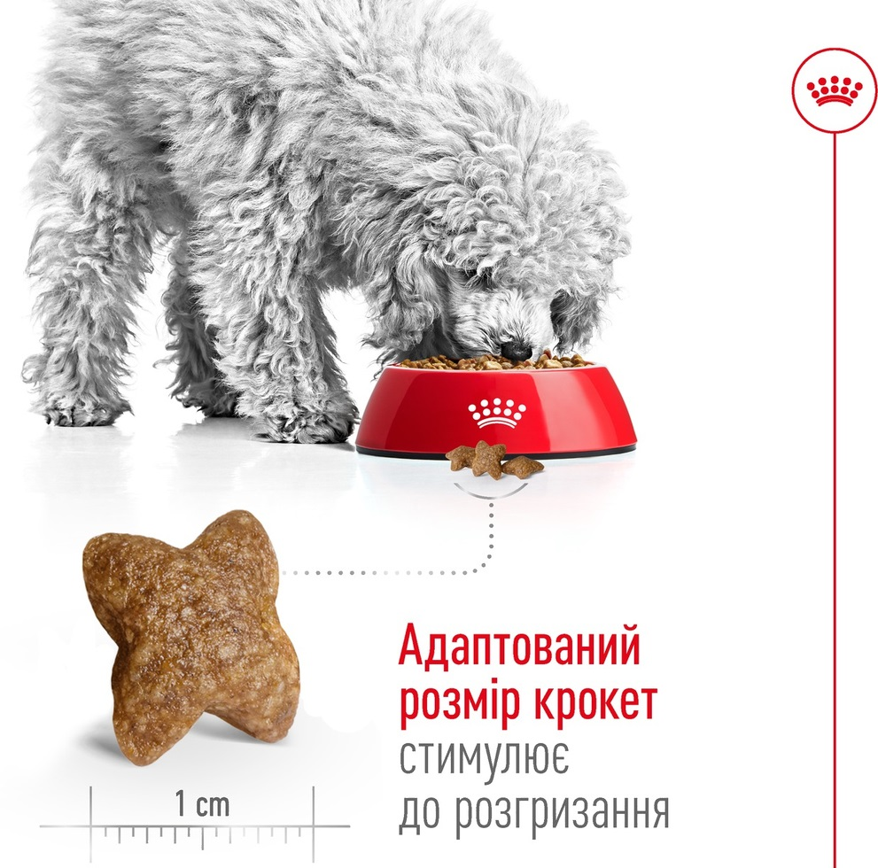 Сухий корм для собак Royal Canin Mini Adult дрібних порід 800гфото4