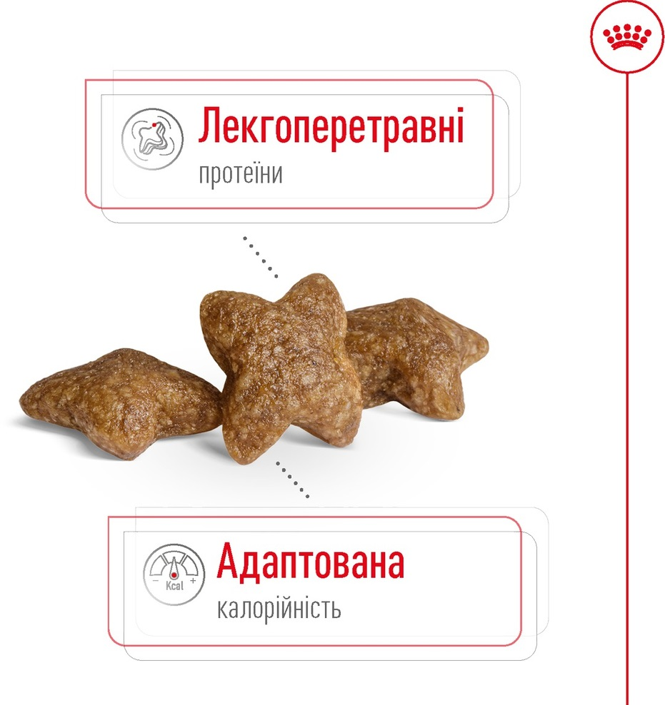 Сухой корм для собак Royal Canin Mini Adult мелких пород 2кг фото 3