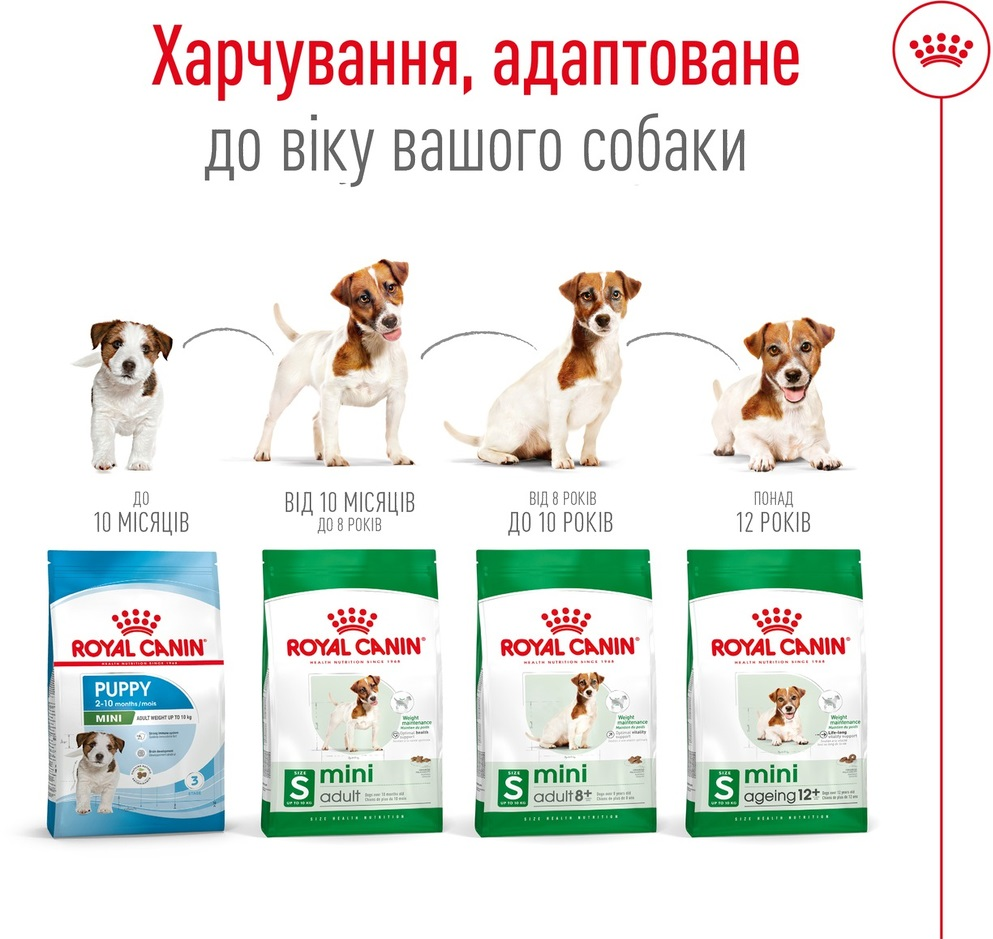 Сухий корм для собак Royal Canin Mini Adult 8+ дрібних порід старше 8 років 800гфото6