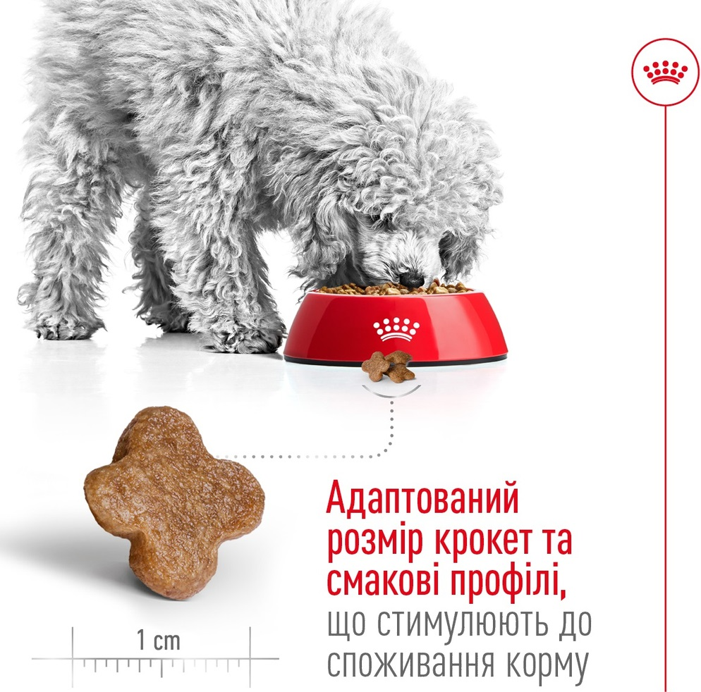 Сухий корм для собак Royal Canin Mini Adult 8+ дрібних порід старше 8 років 800гфото3