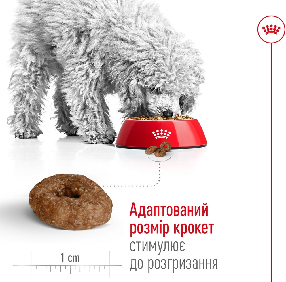 Сухий корм для собак Royal Canin Mini Ageing 12+ дрібних порід старше 12 років 800гфото4