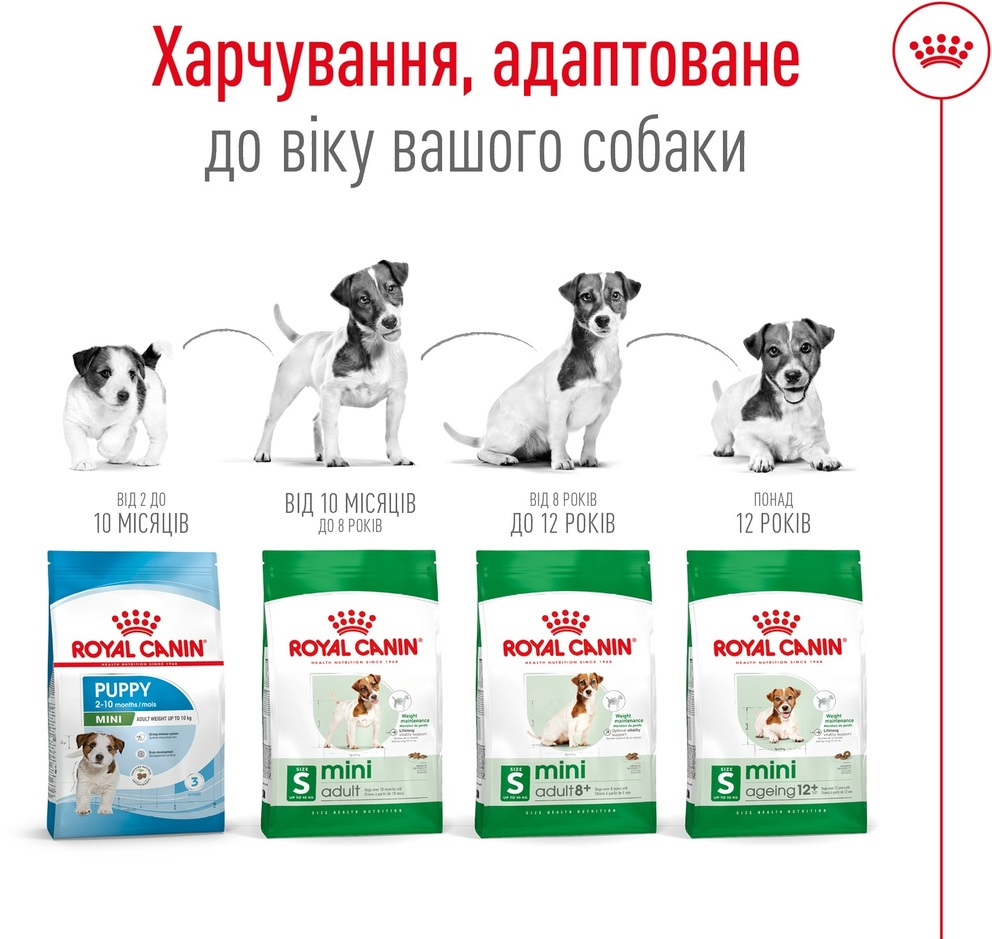 Сухой корм для собак Royal Canin Mini Ageing 12+ мелких пород старше 12 лет 800г фото 5