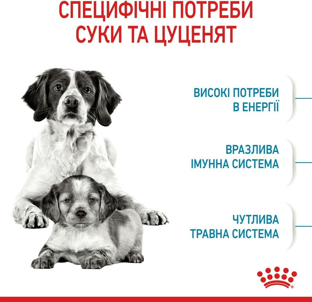 Сухой корм для собак Royal Canin Medium Starter Mother & BabyDog средних пород в период беременности 1кг фото 5