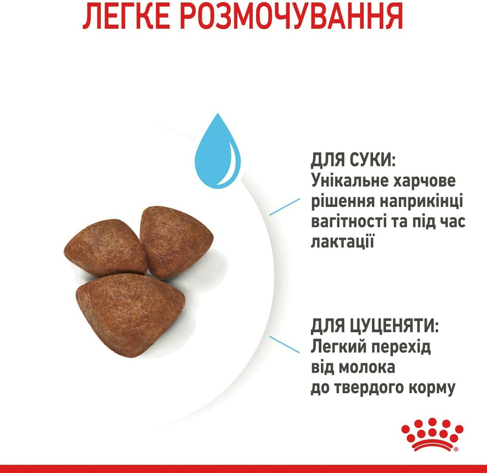 Сухой корм для собак Royal Canin Medium Starter Mother & BabyDog средних пород в период беременности 1кг фото 7