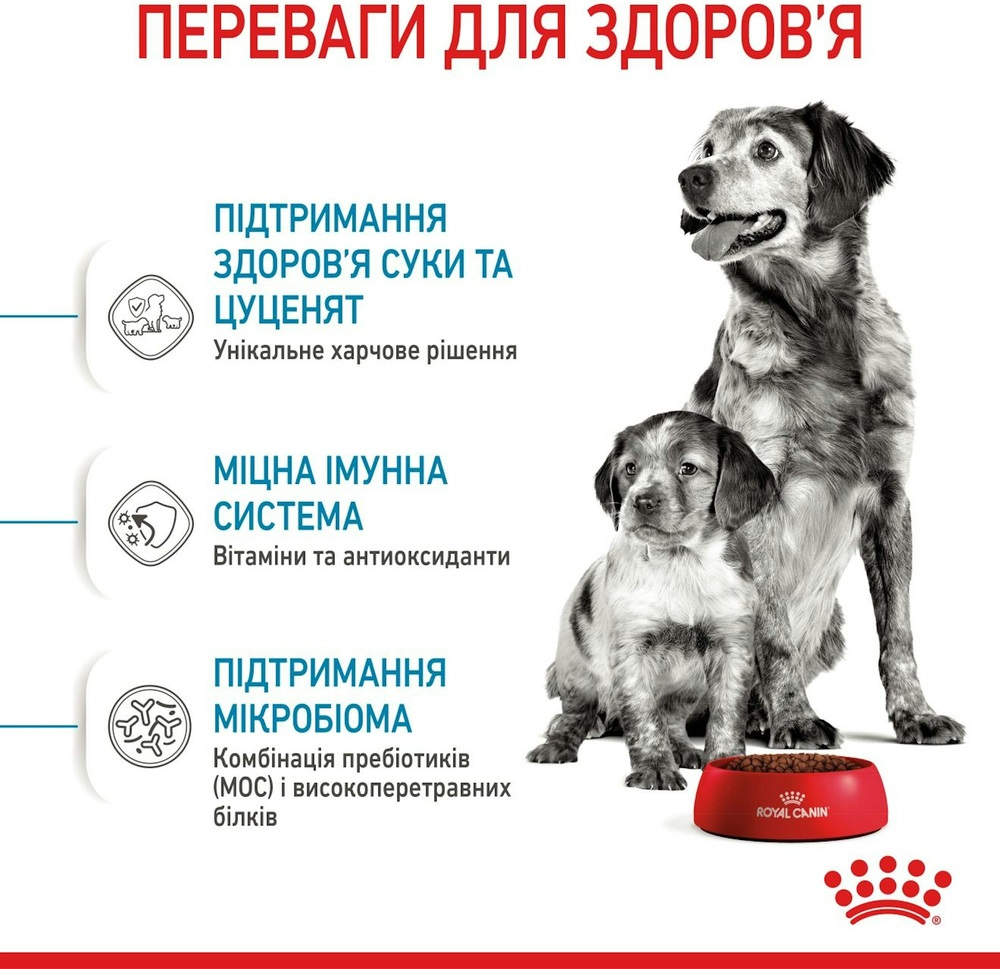 Сухий корм для собак Royal Canin Medium Starter Mother & BabyDog середніх порід у період вагітності 1кгфото6