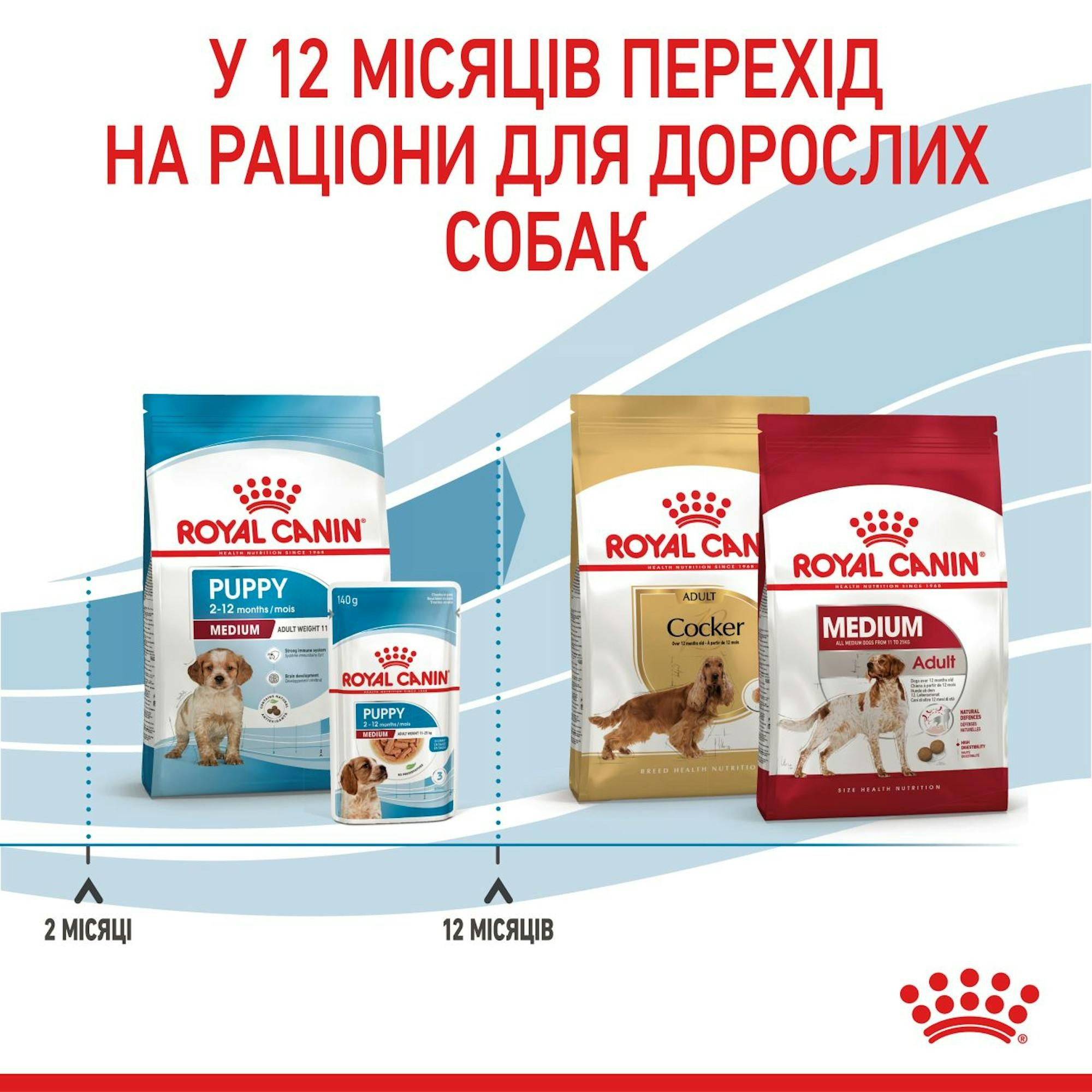 Сухий корм для цуценят Royal Canin Medium Puppy середніх порід собак 1кгфото7