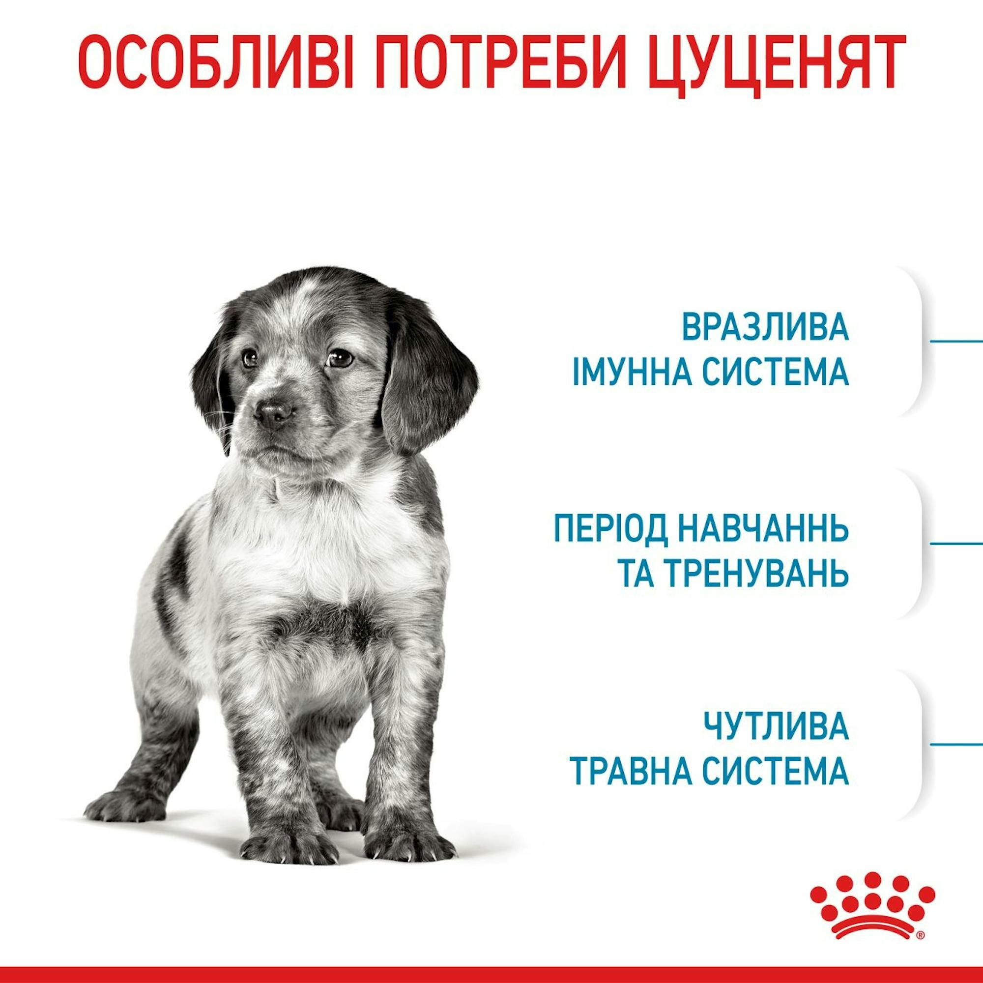 Сухий корм для цуценят Royal Canin Medium Puppy середніх порід собак 1кгфото4