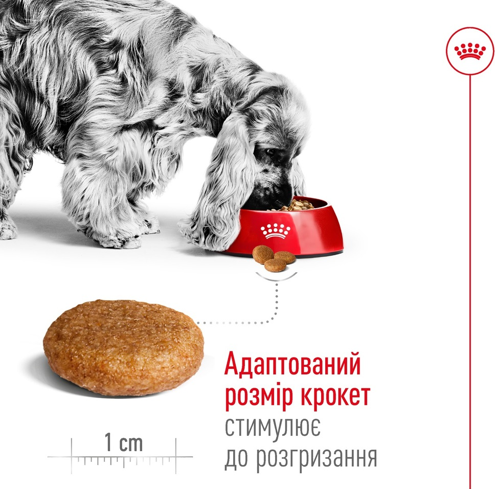 Сухой корм для собак Royal Canin Medium Adult средних пород 4кг фото 4