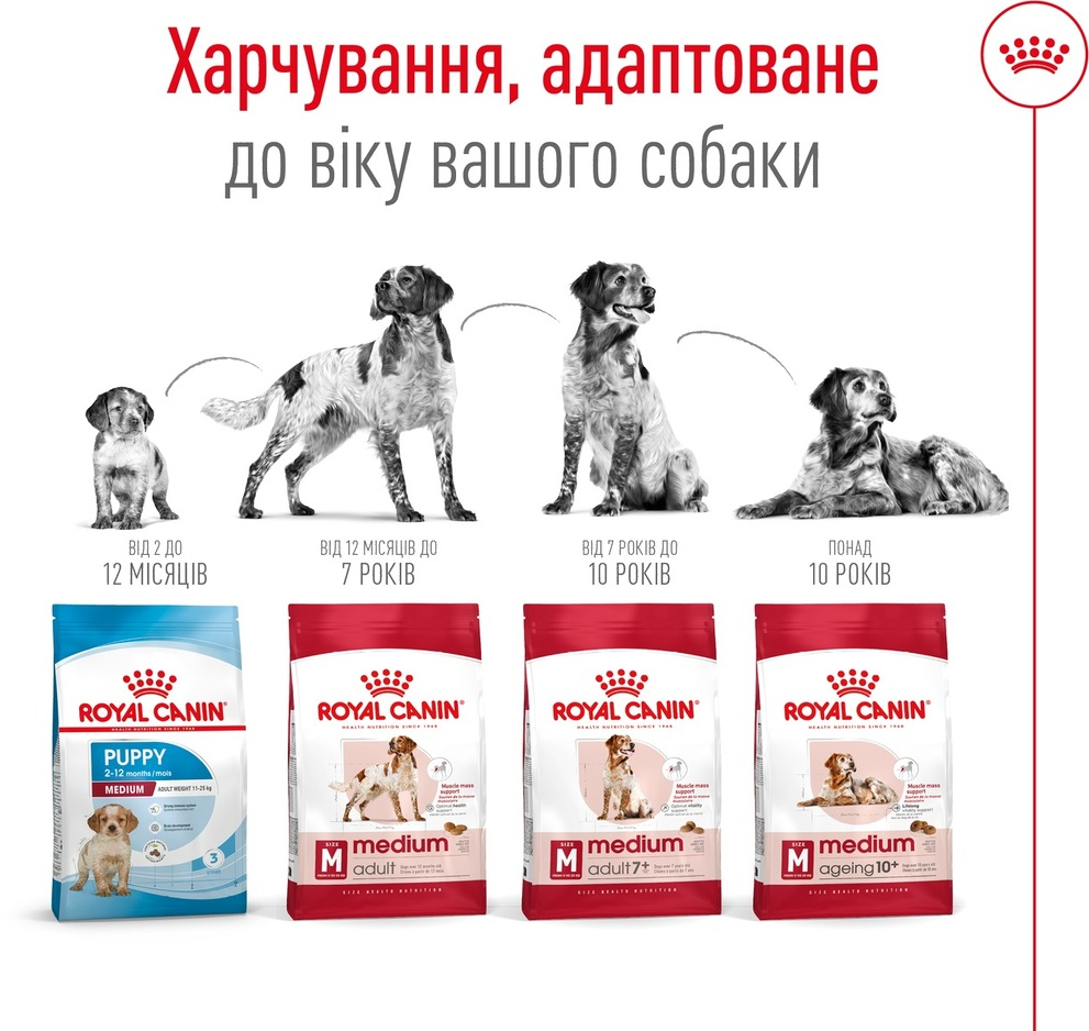 Сухий корм для собак Royal Canin Medium Adult середніх порід 4кгфото5