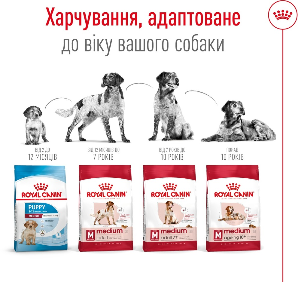 Сухой корм для собак Royal Canin Medium Adult 7+ средних пород старше 7 лет 4кг фото 5