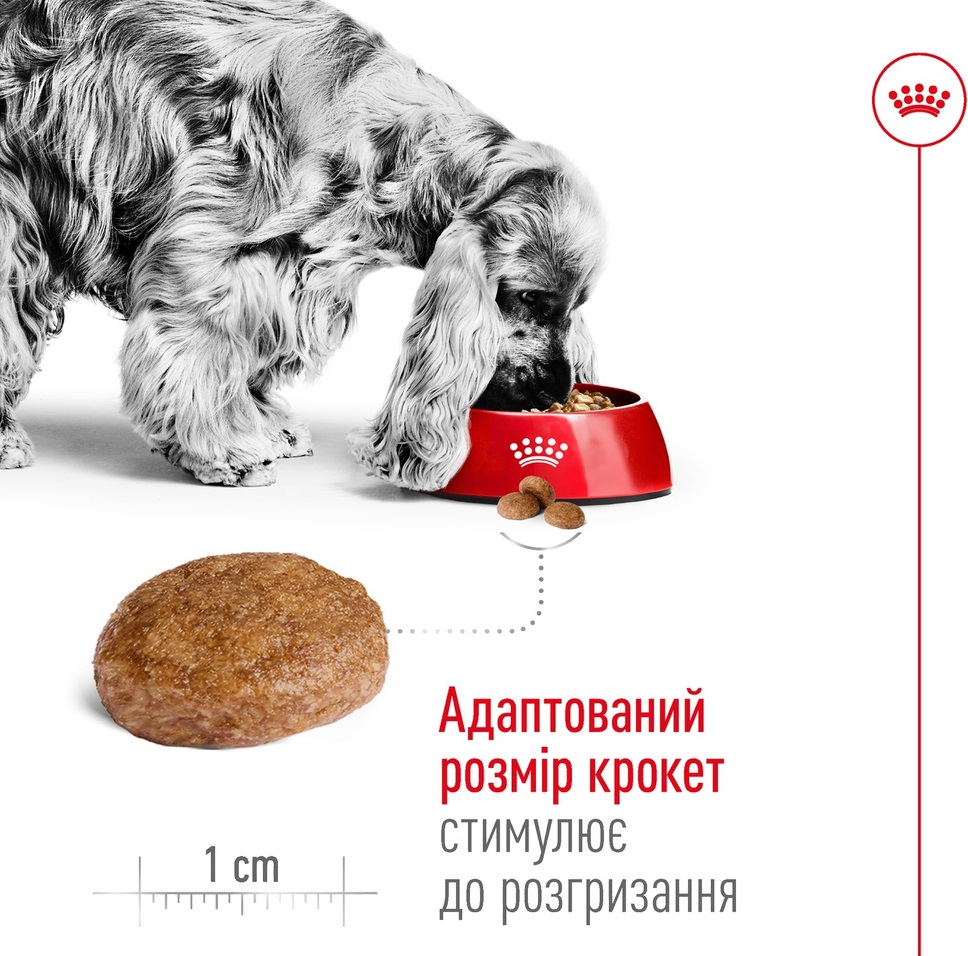 Сухой корм для собак Royal Canin Medium Adult 7+ средних пород старше 7 лет 4кг фото 4