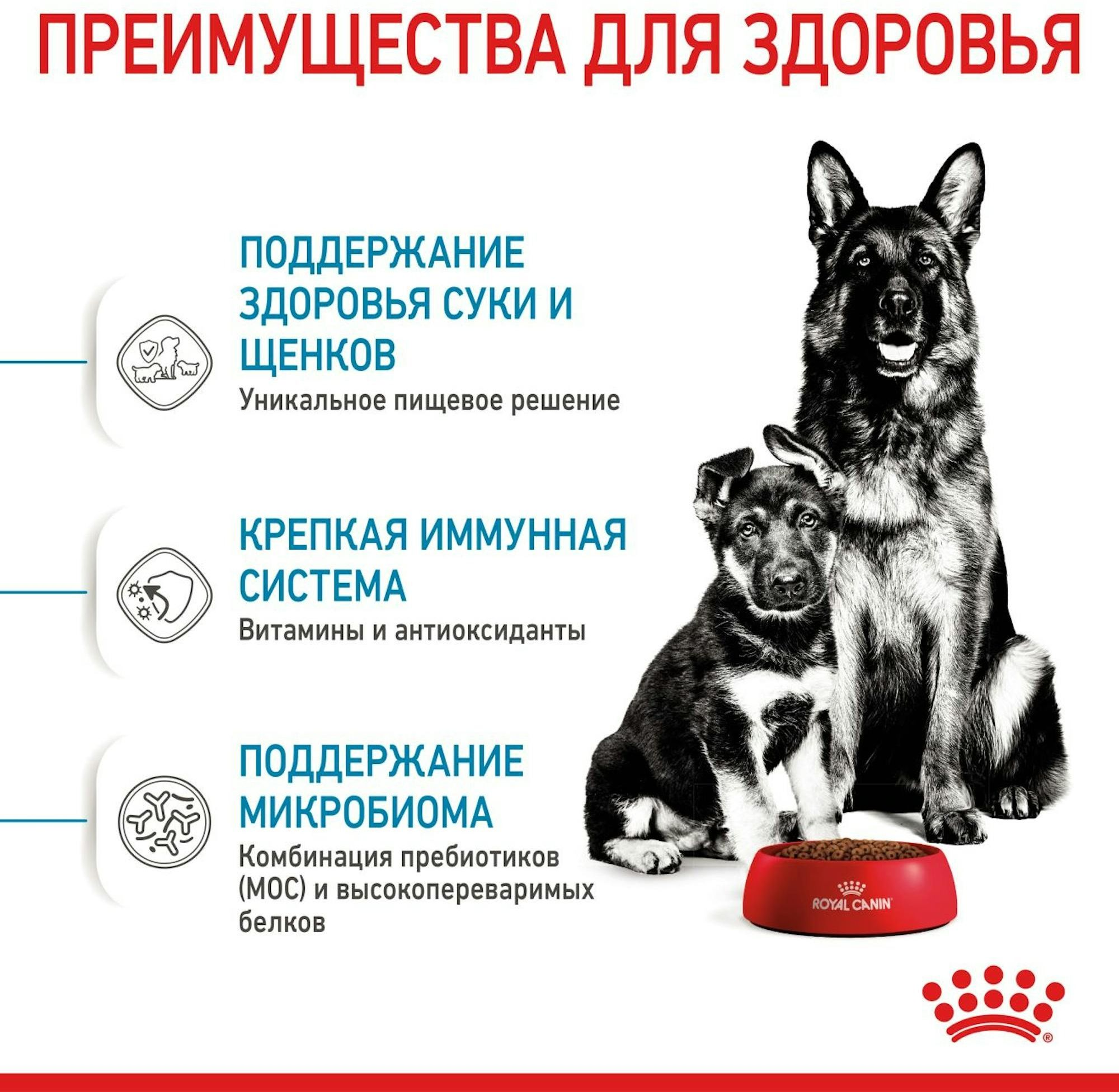 Сухой корм для собак Royal Canin Maxi Starter Mother & BabyDog больших пород в период беременности и лактации 4кг фото 4